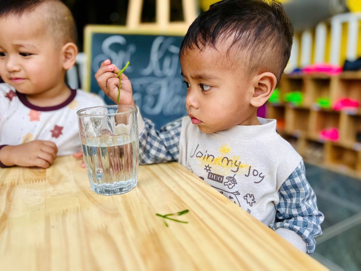 Ảnh hoạt động