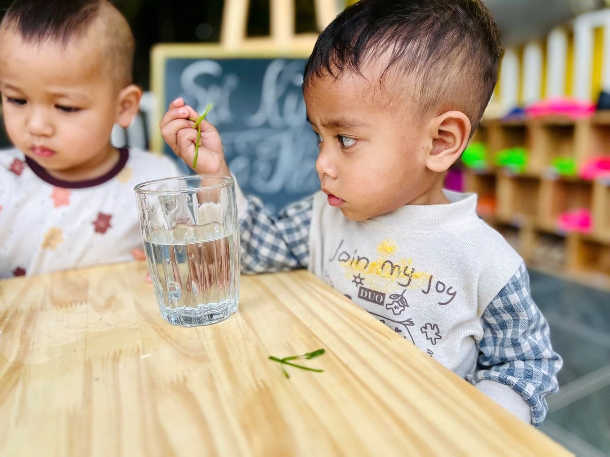 Ảnh hoạt động