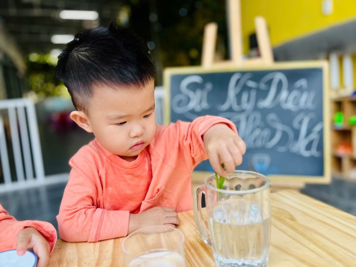 Ảnh hoạt động