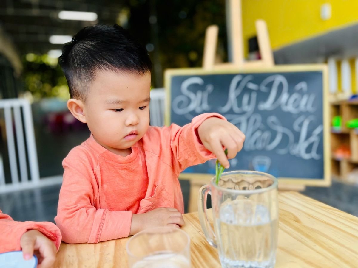 Ảnh hoạt động