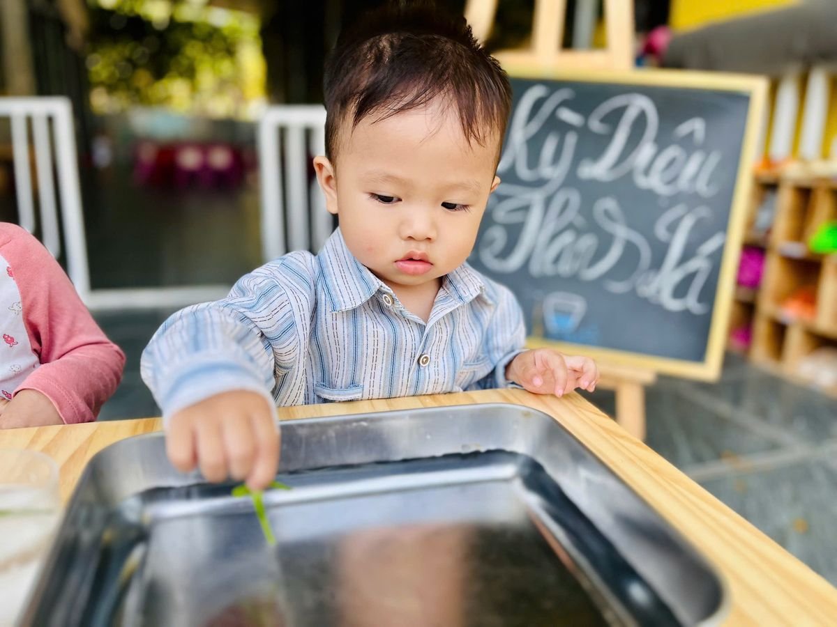 Ảnh hoạt động