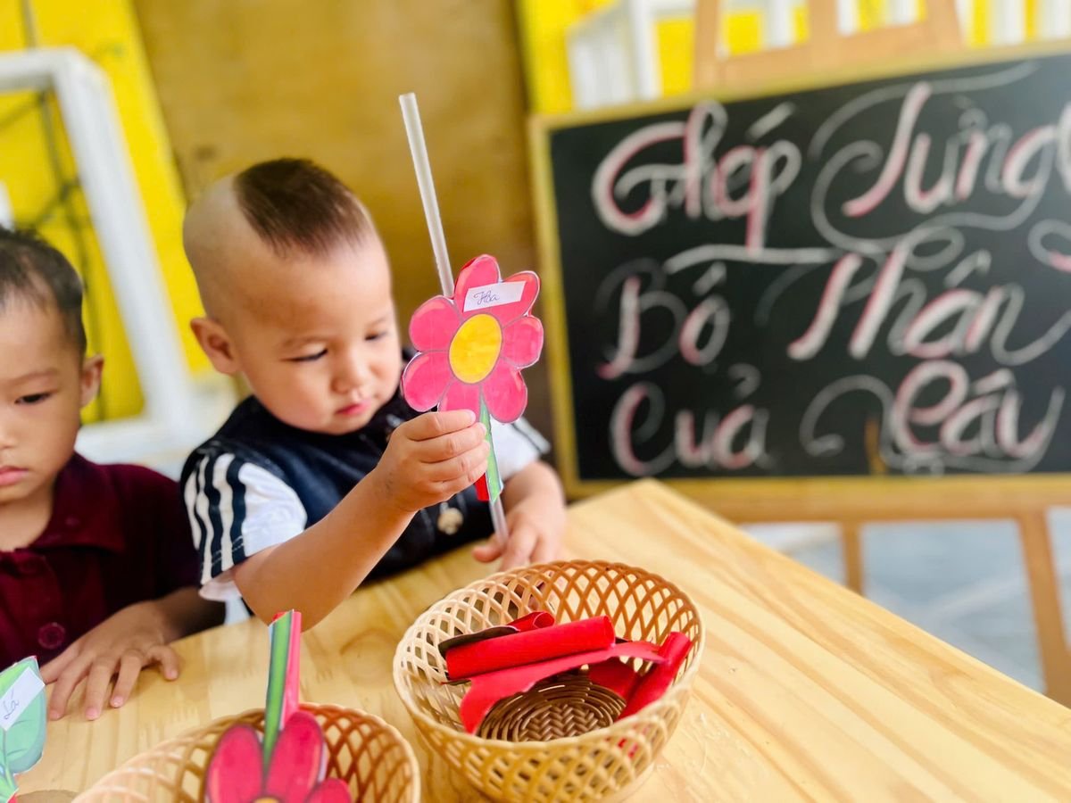 Ảnh hoạt động