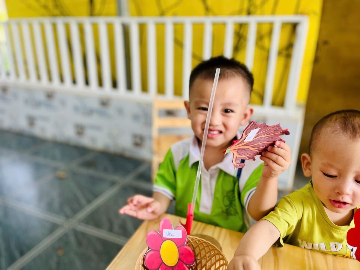 Ảnh hoạt động