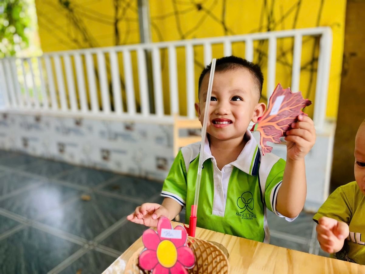 Ảnh hoạt động