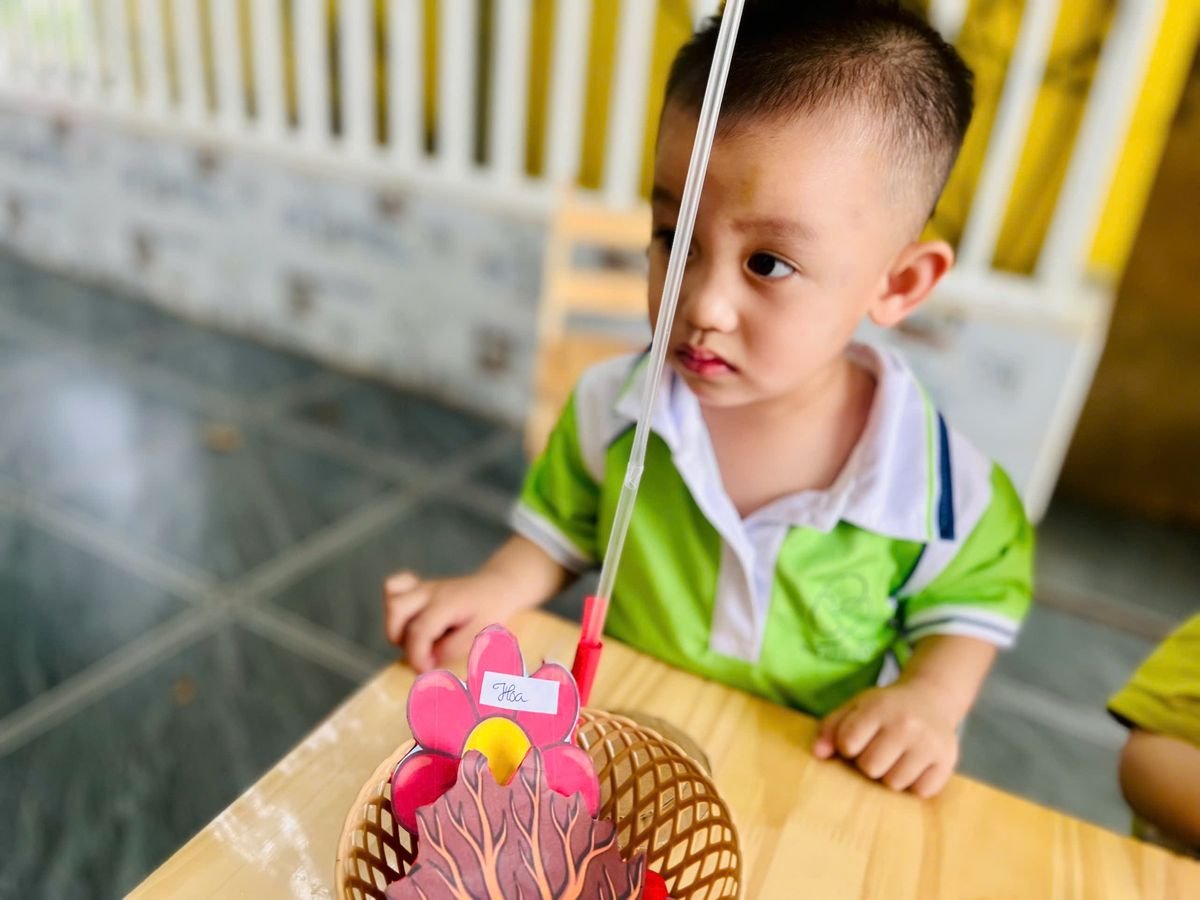 Ảnh hoạt động