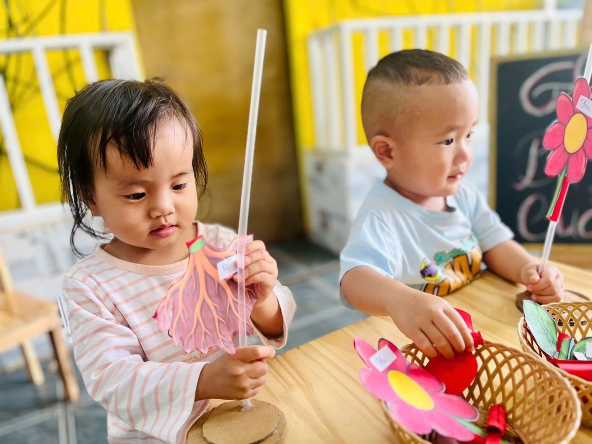 Ảnh hoạt động