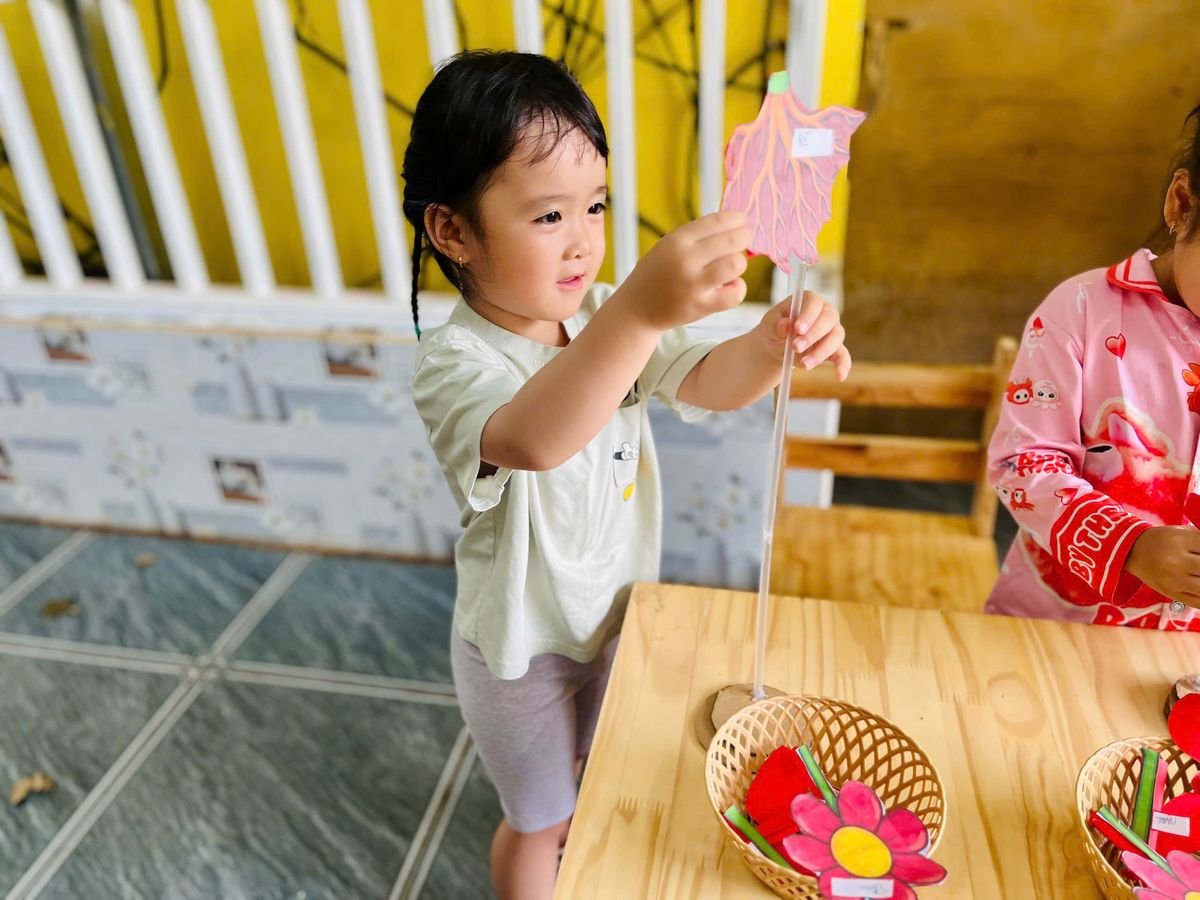 Ảnh hoạt động