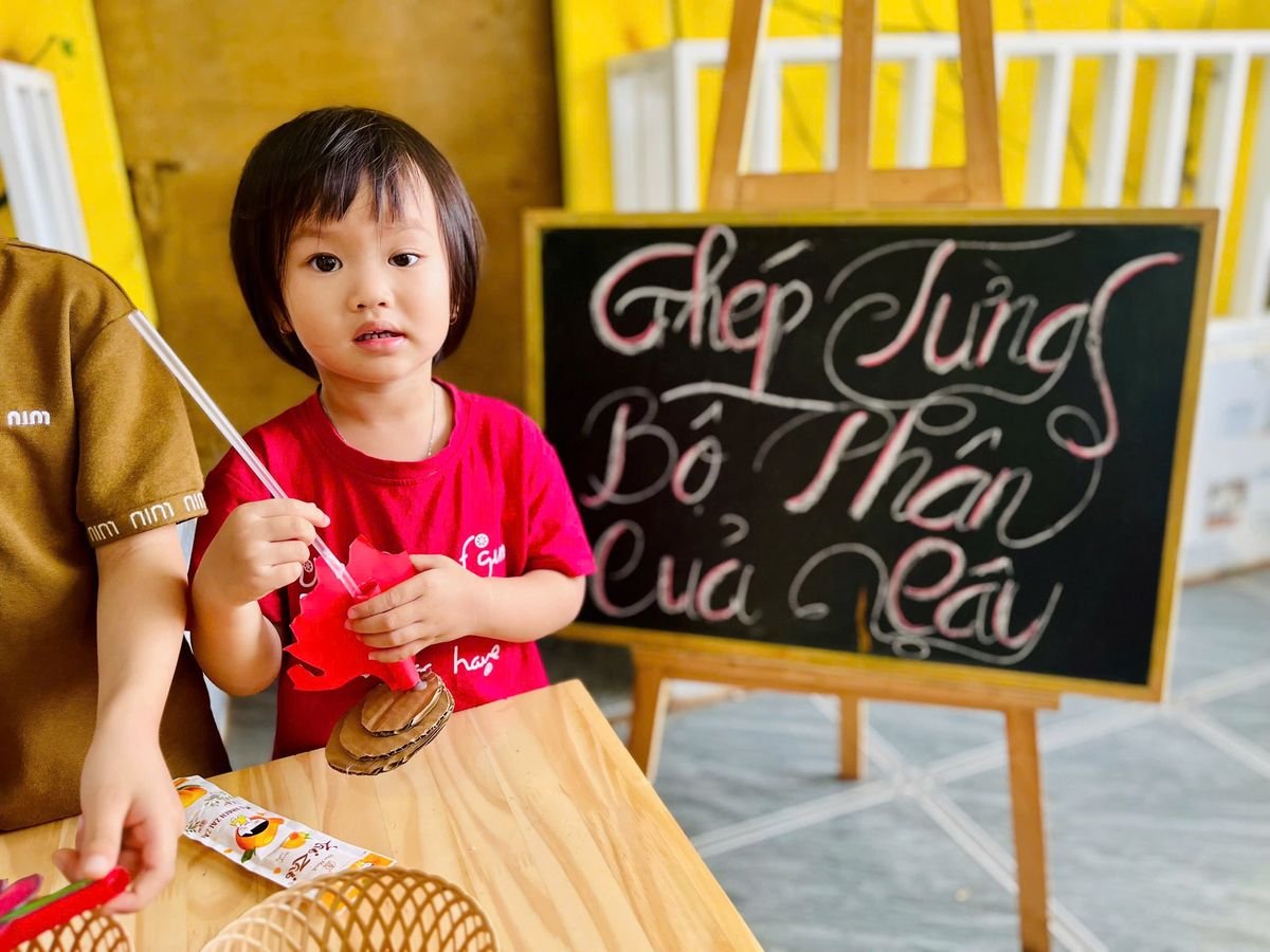 Ảnh hoạt động