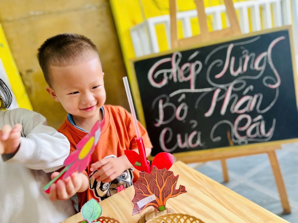 Ảnh hoạt động