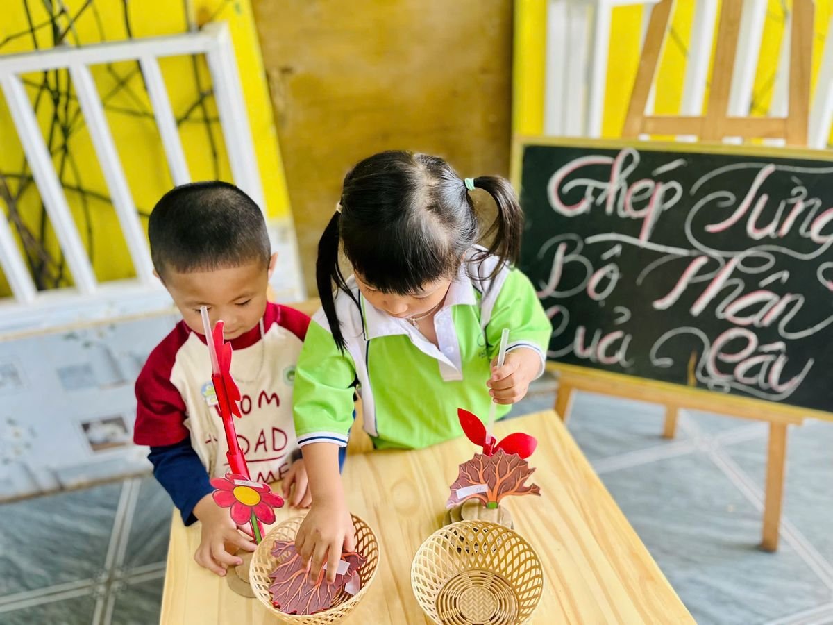 Ảnh hoạt động