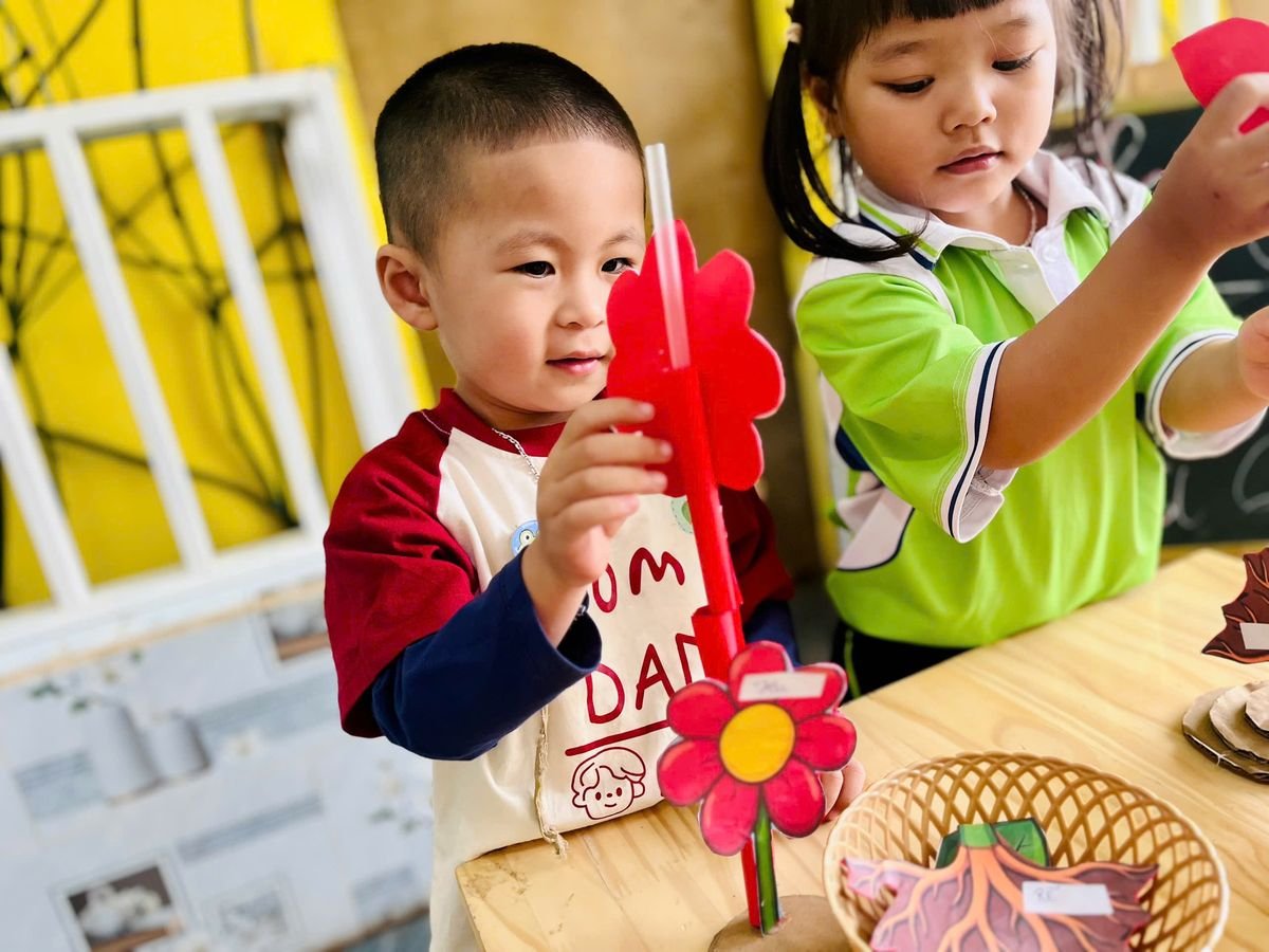 Ảnh hoạt động