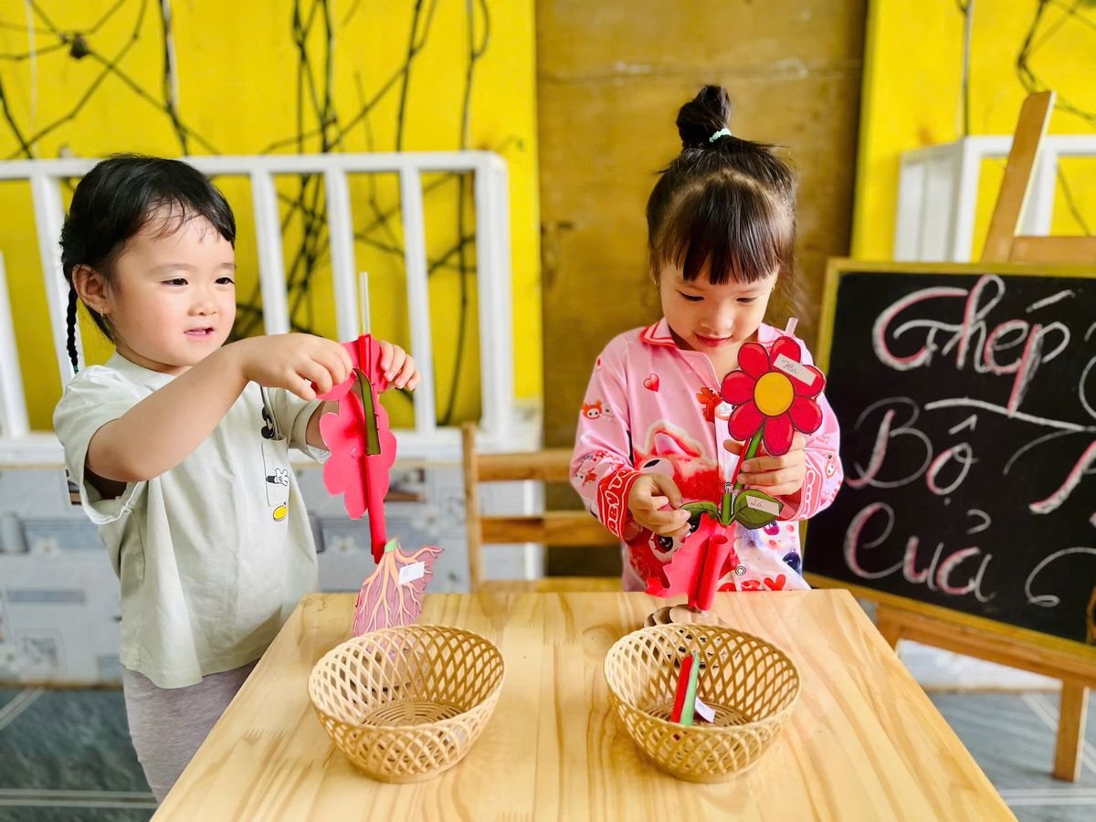 Ảnh hoạt động