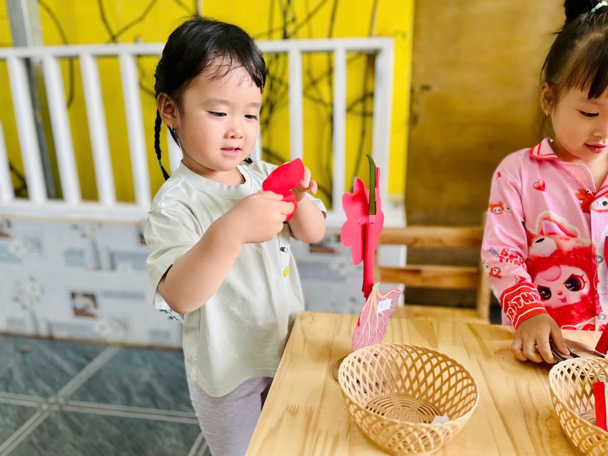 Ảnh hoạt động