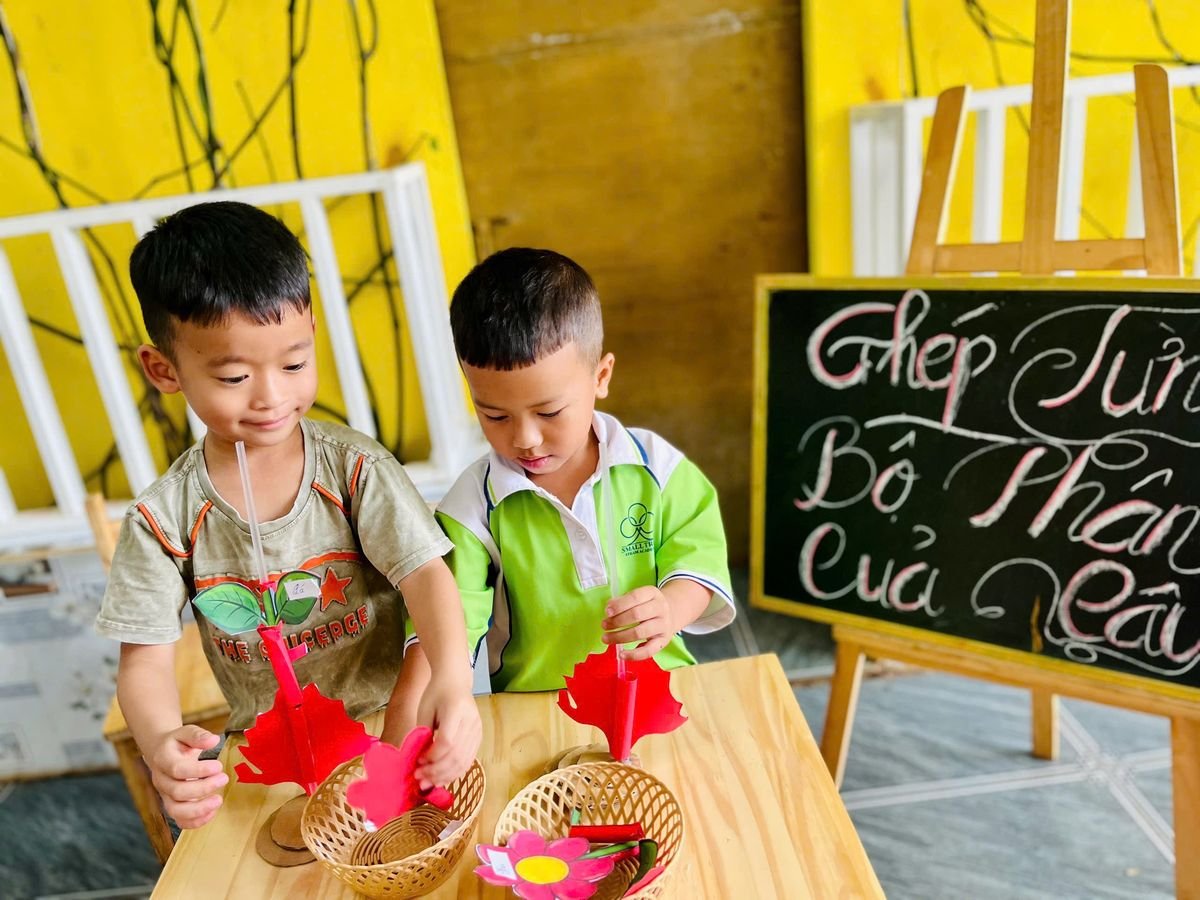 Ảnh hoạt động