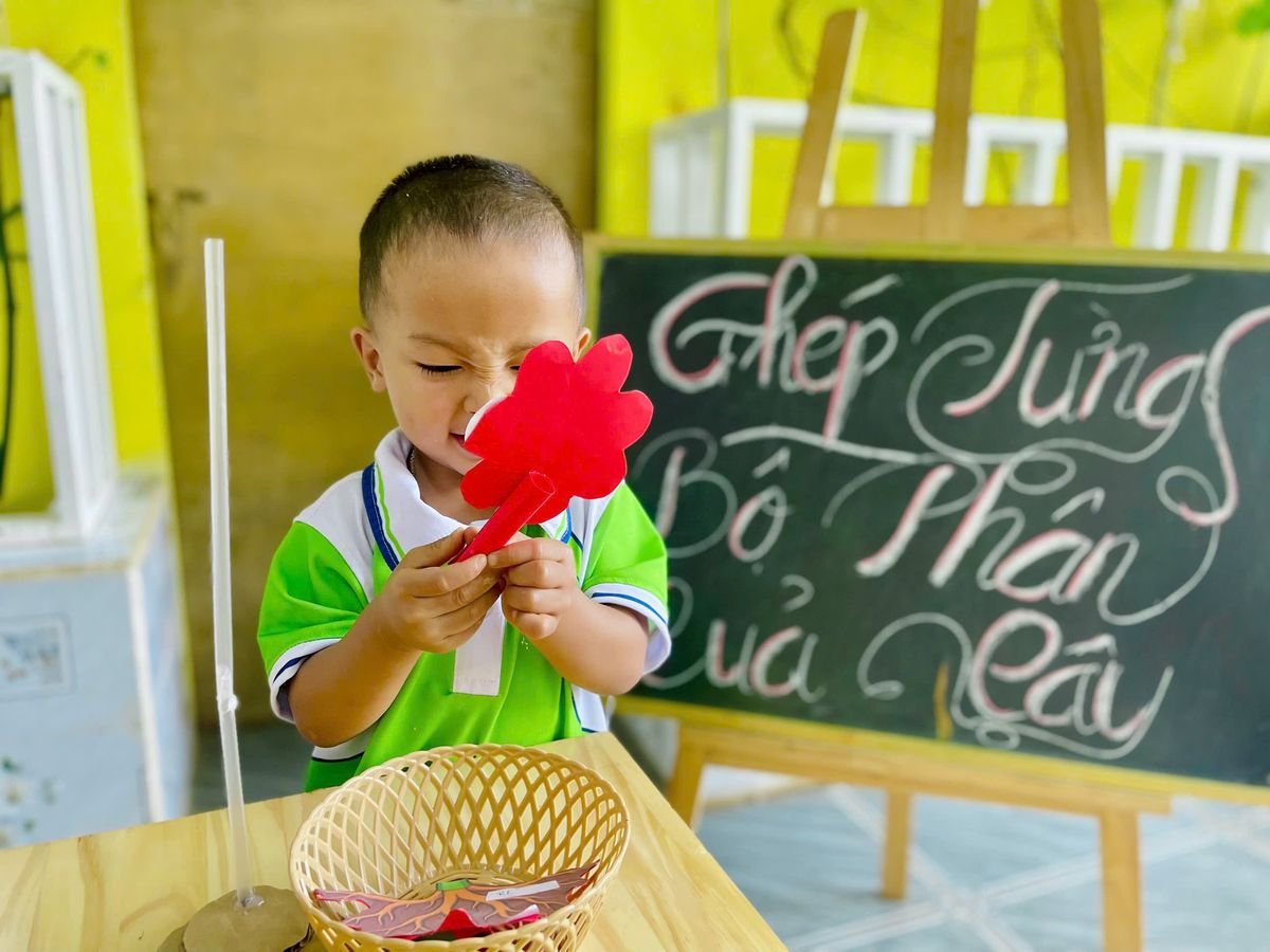 Ảnh hoạt động