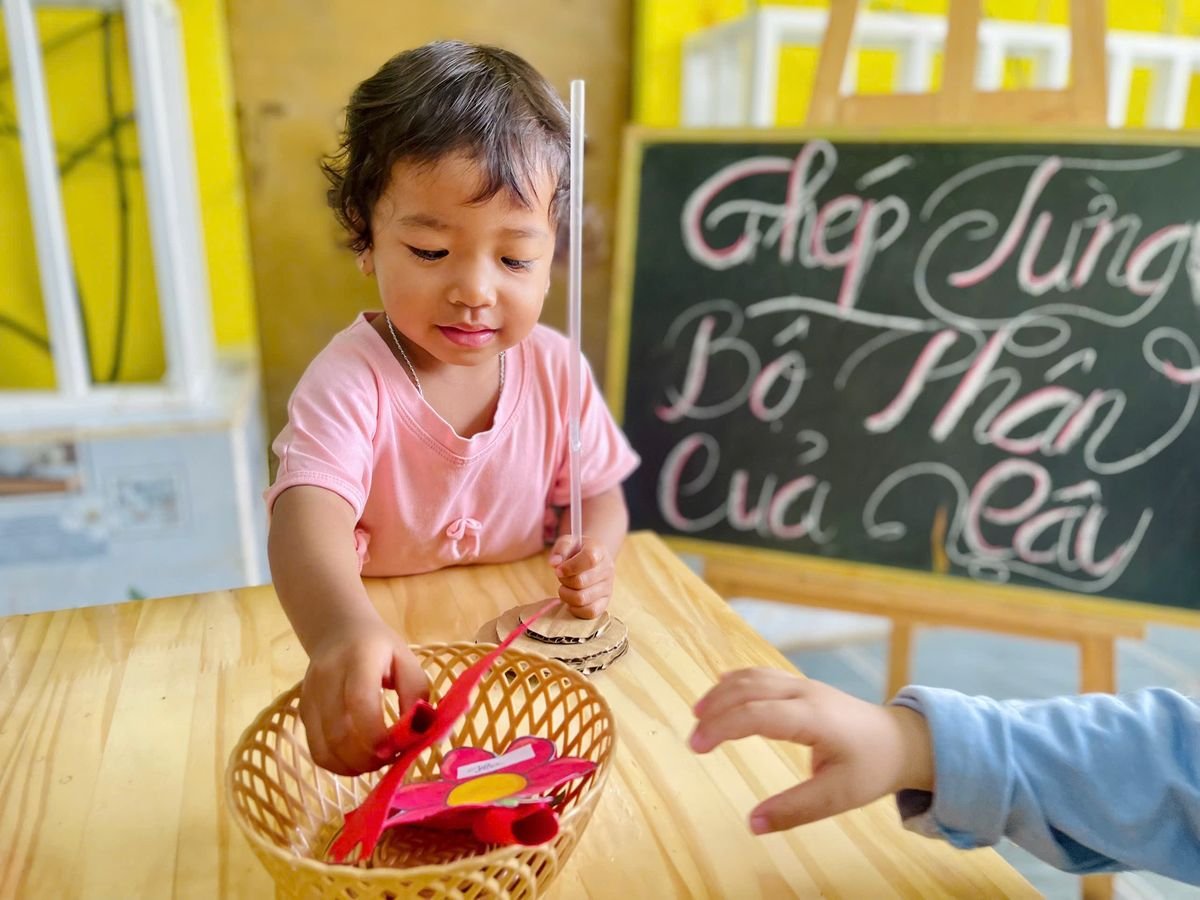 Ảnh hoạt động