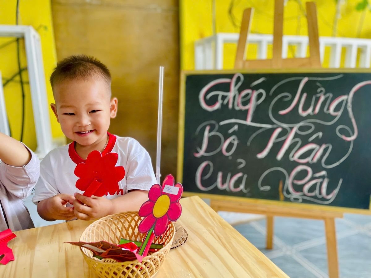 Ảnh hoạt động