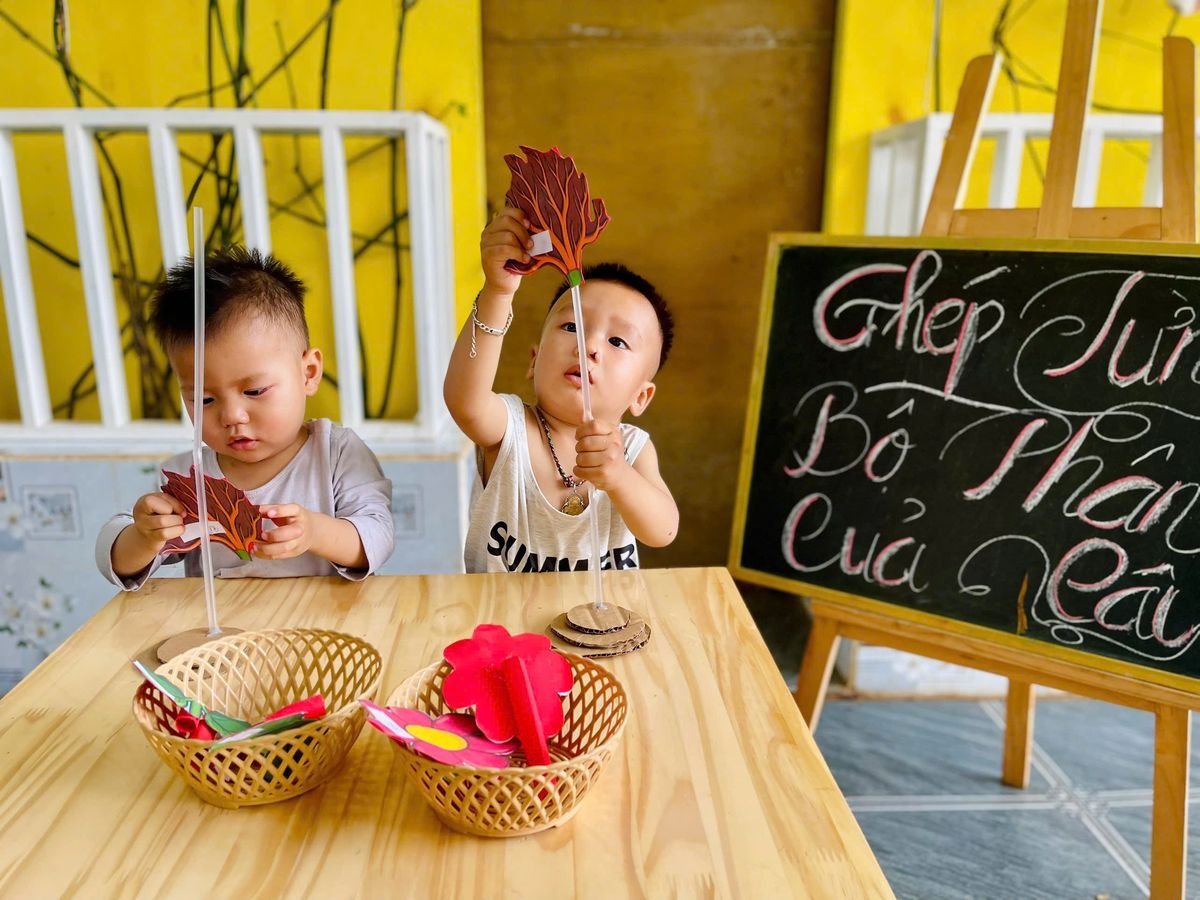 Ảnh hoạt động