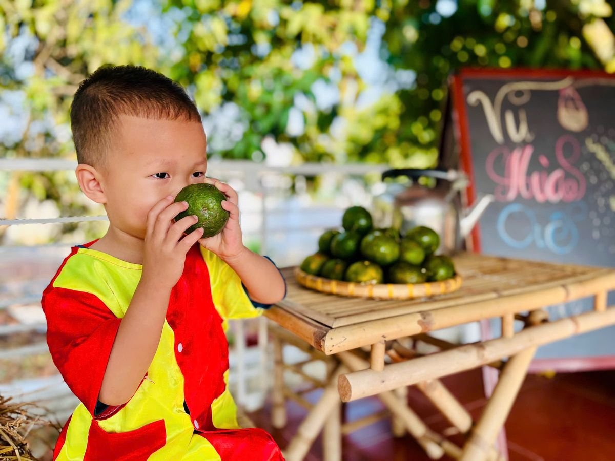 Ảnh hoạt động