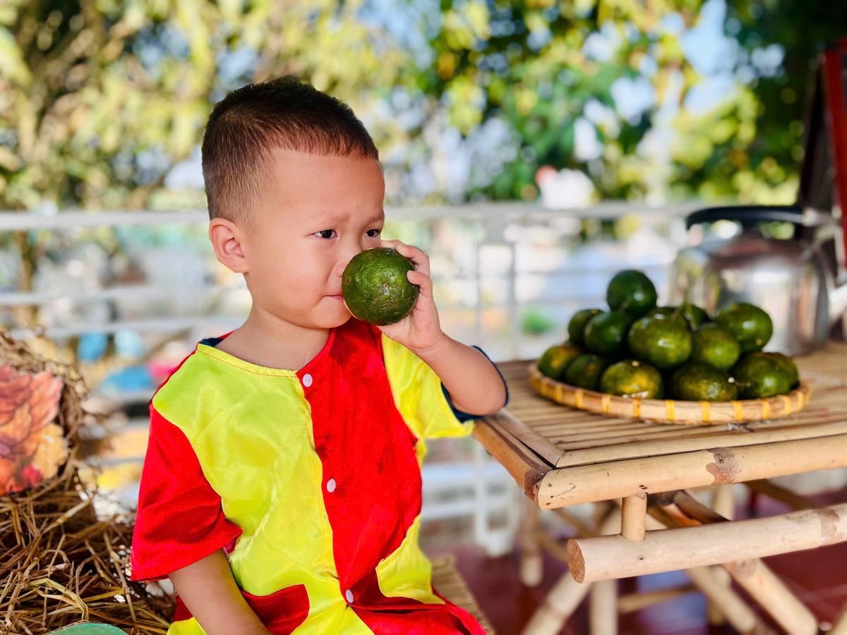 Ảnh hoạt động