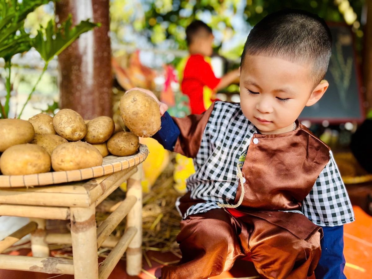 Ảnh hoạt động