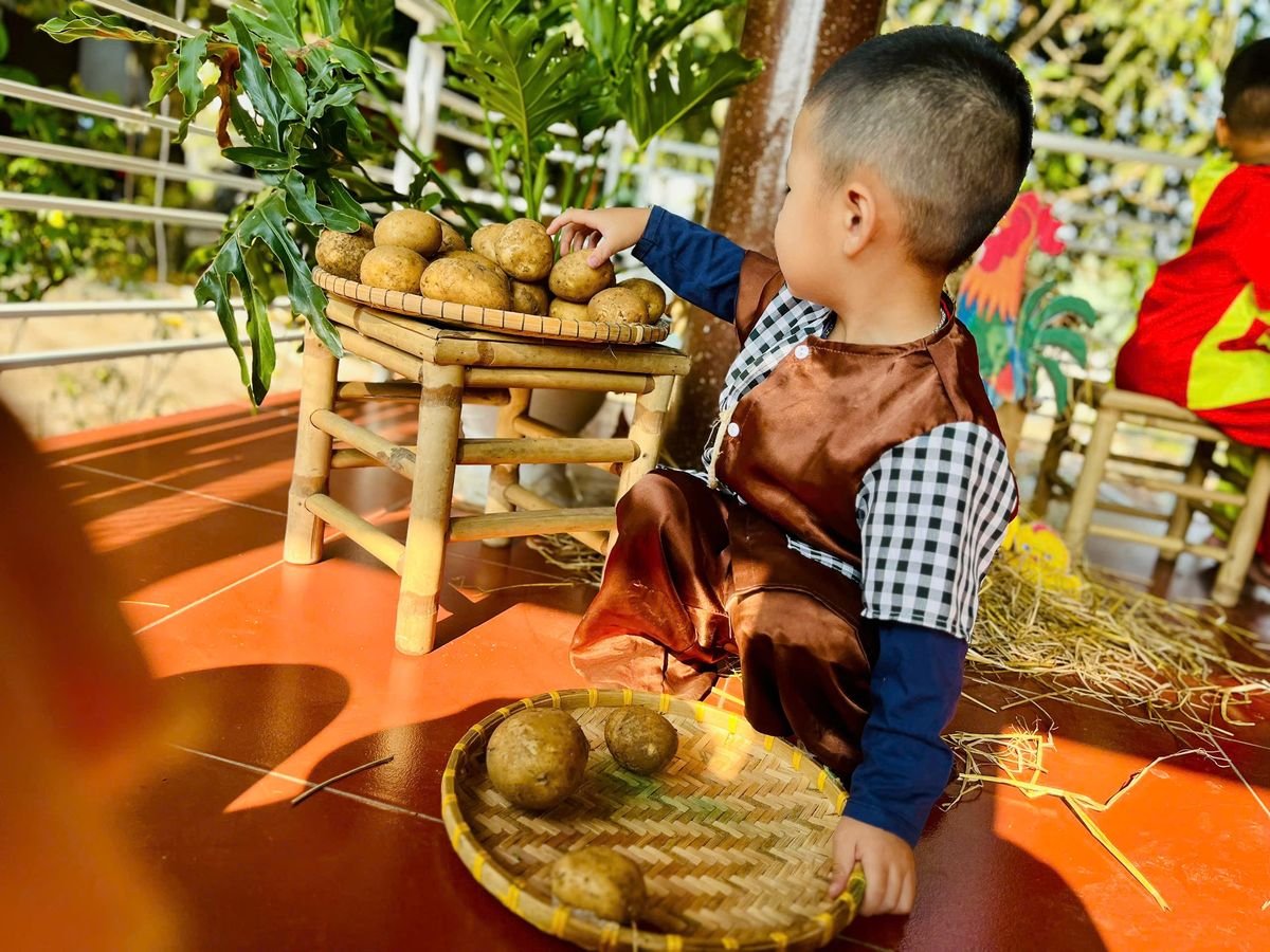 Ảnh hoạt động