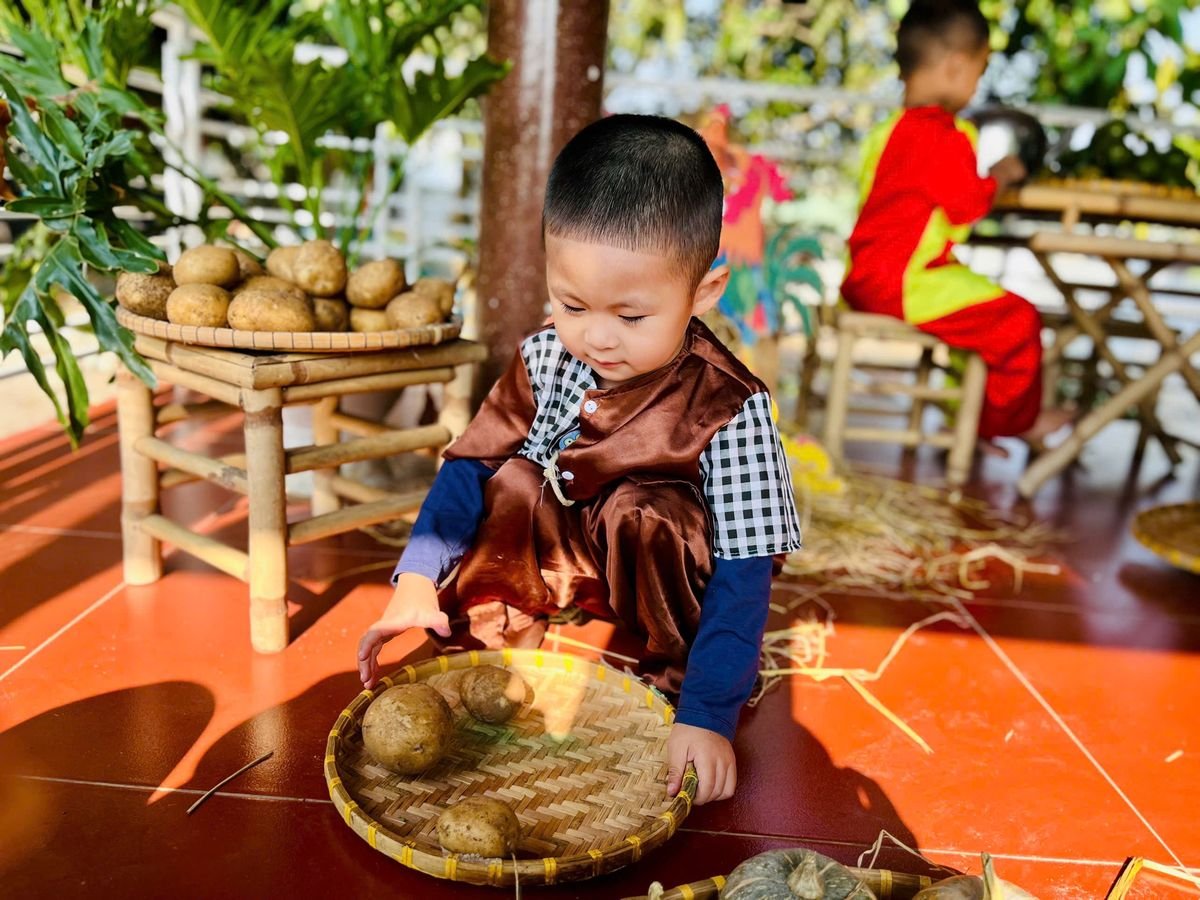 Ảnh hoạt động