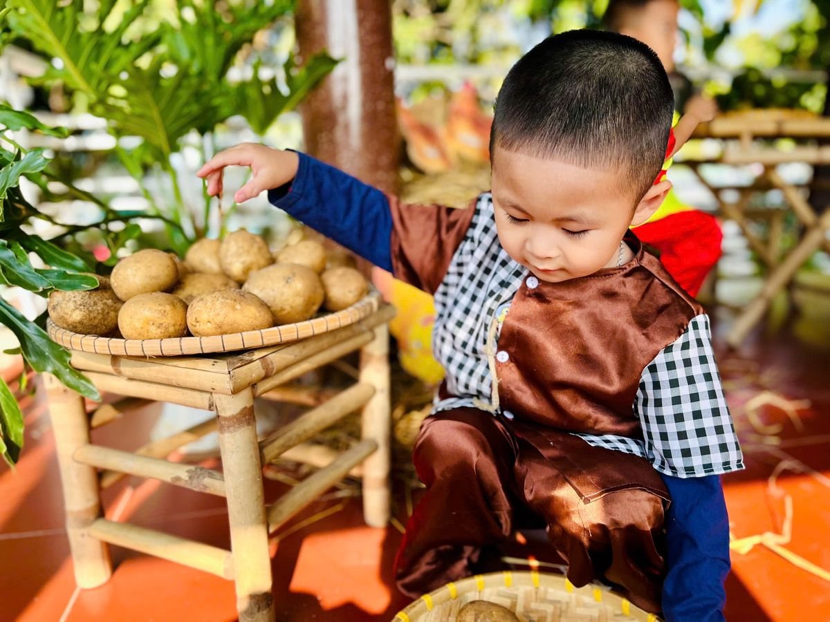 Ảnh hoạt động