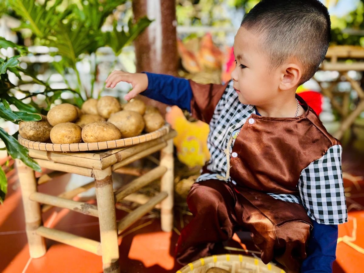 Ảnh hoạt động