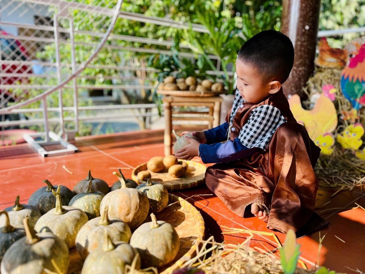 Ảnh hoạt động