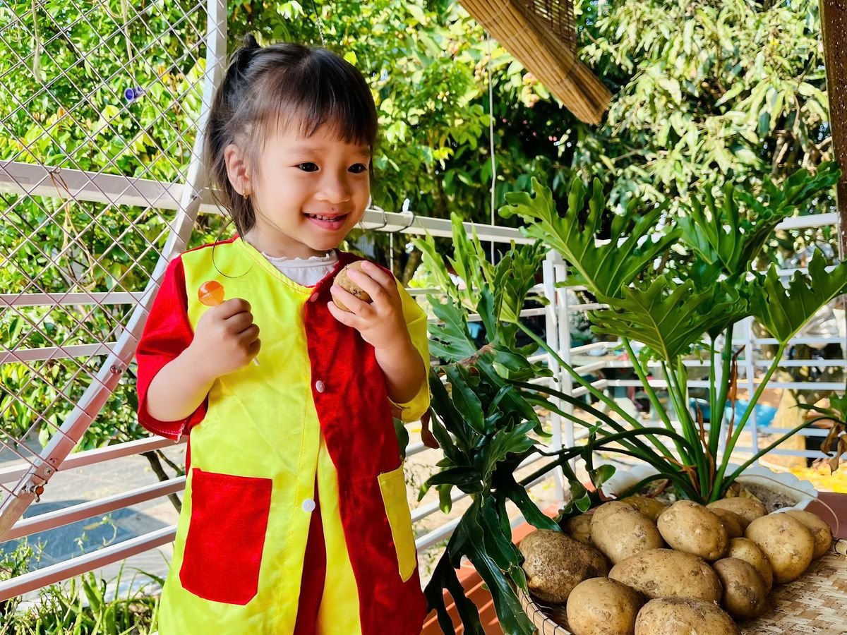 Ảnh hoạt động