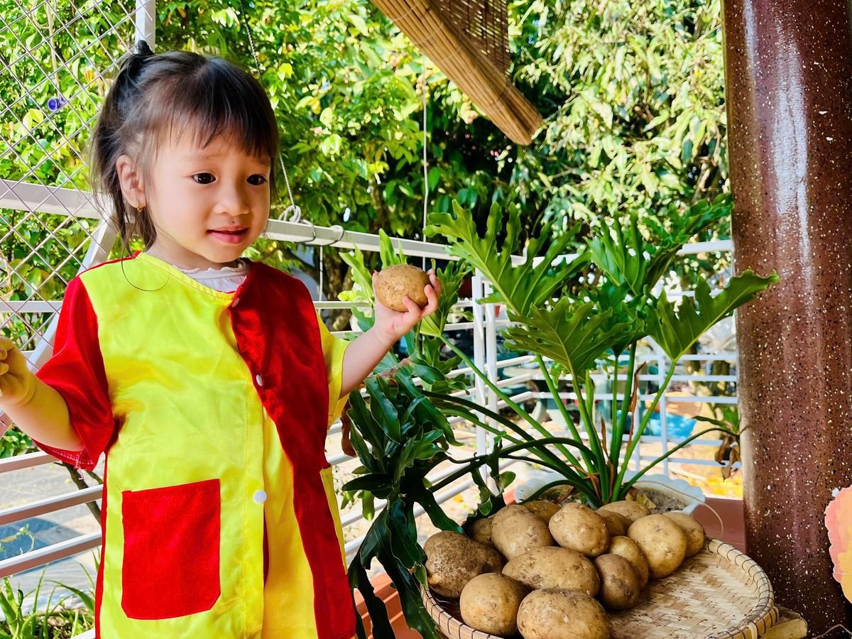 Ảnh hoạt động