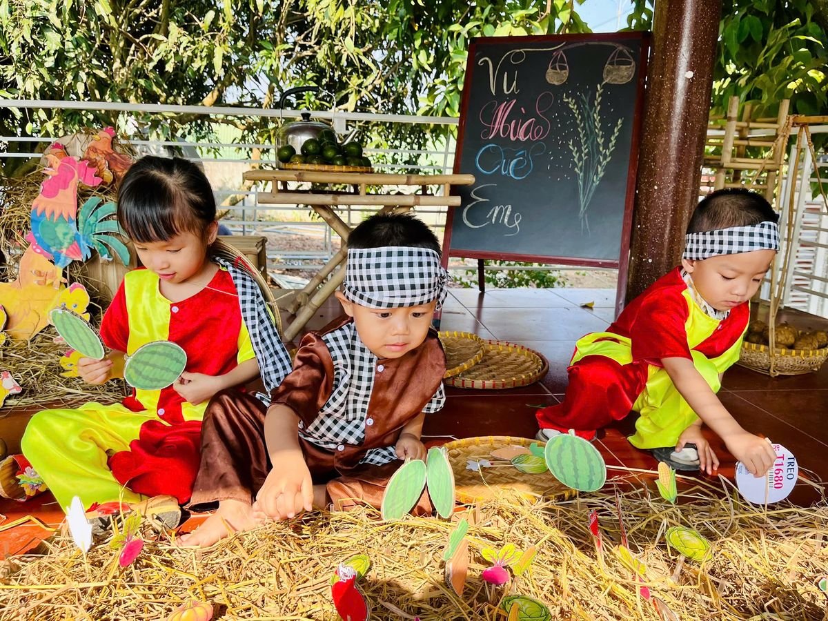 Ảnh hoạt động