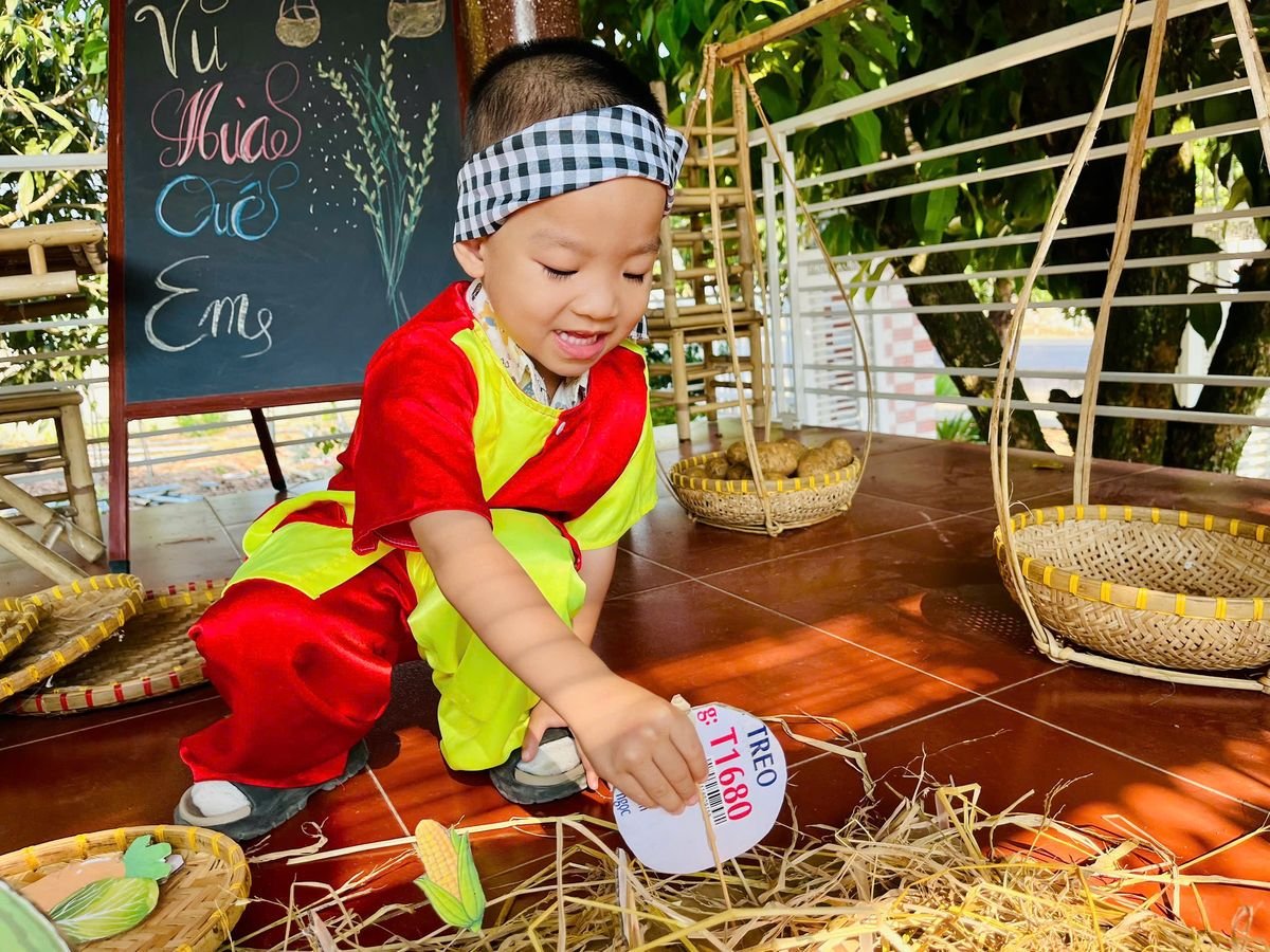 Ảnh hoạt động