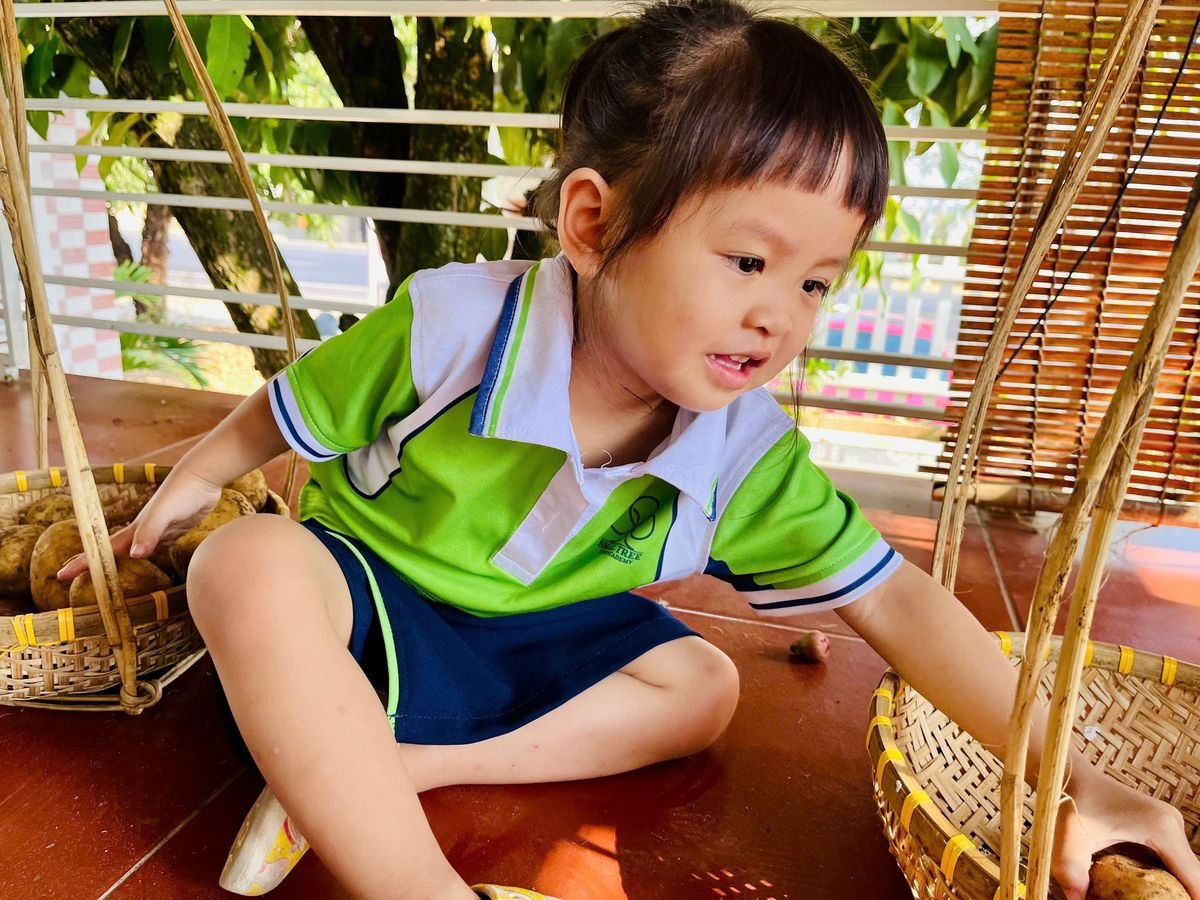 Ảnh hoạt động