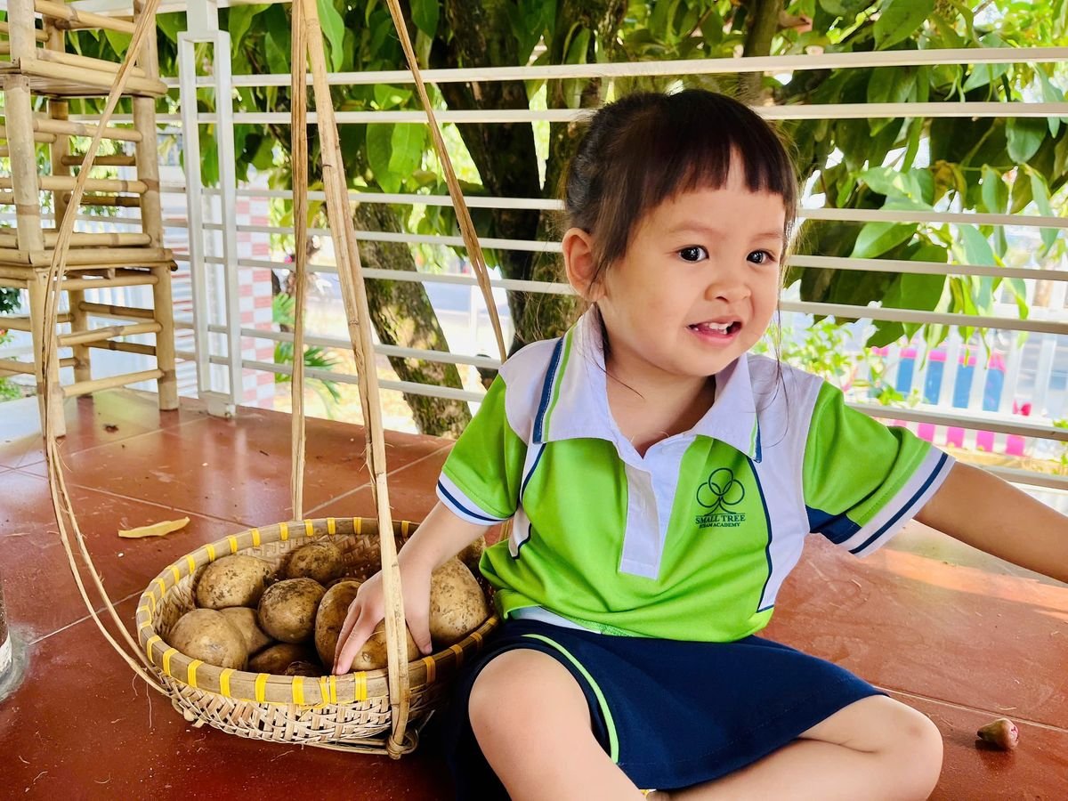 Ảnh hoạt động