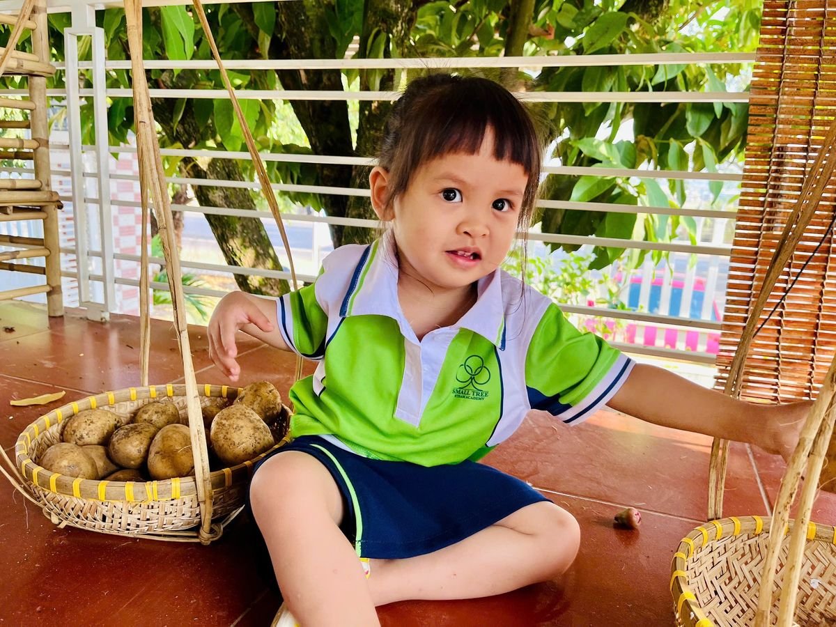 Ảnh hoạt động