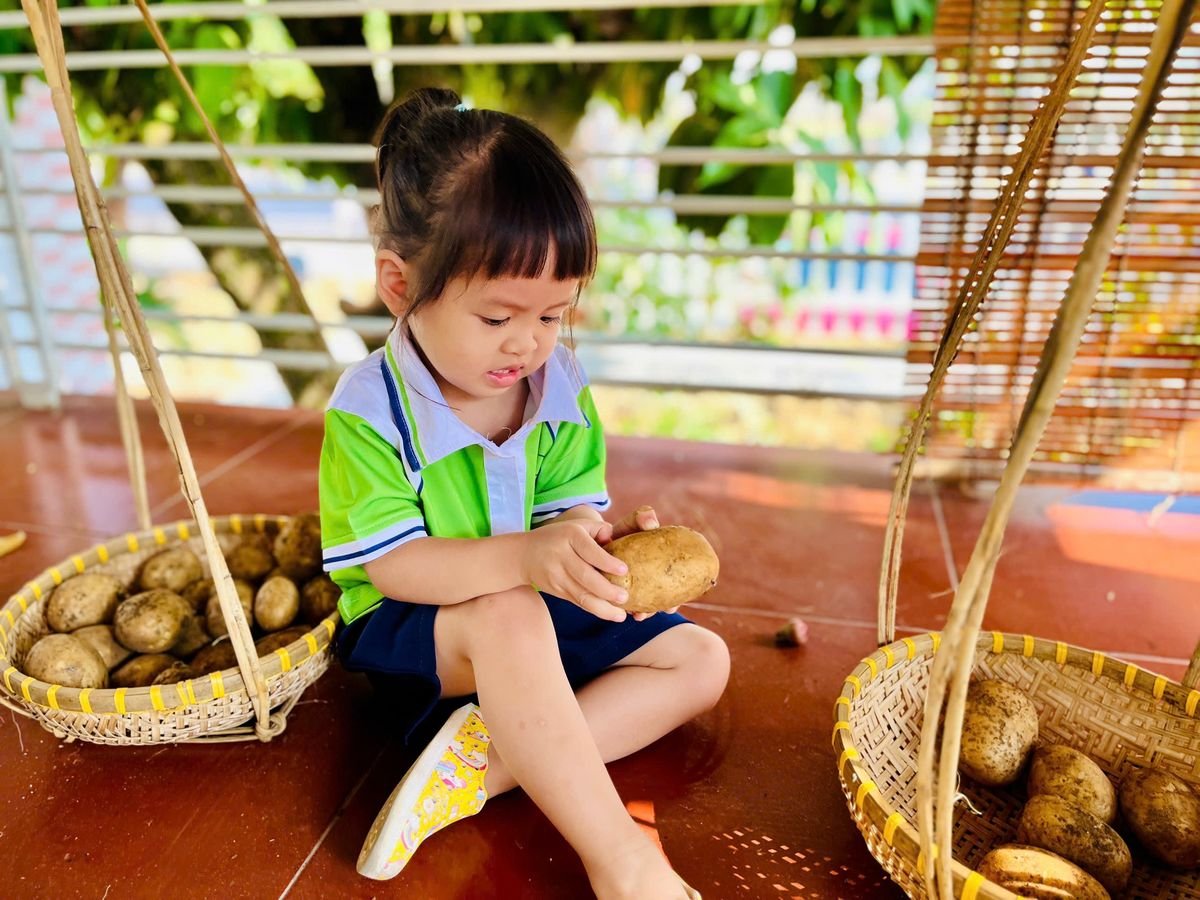 Ảnh hoạt động