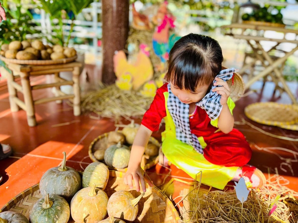 Ảnh hoạt động