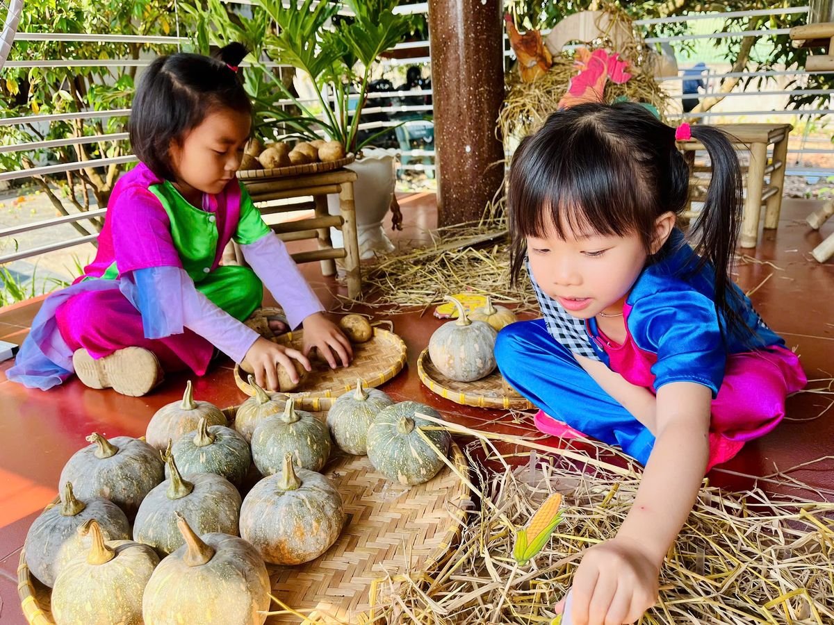 Ảnh hoạt động