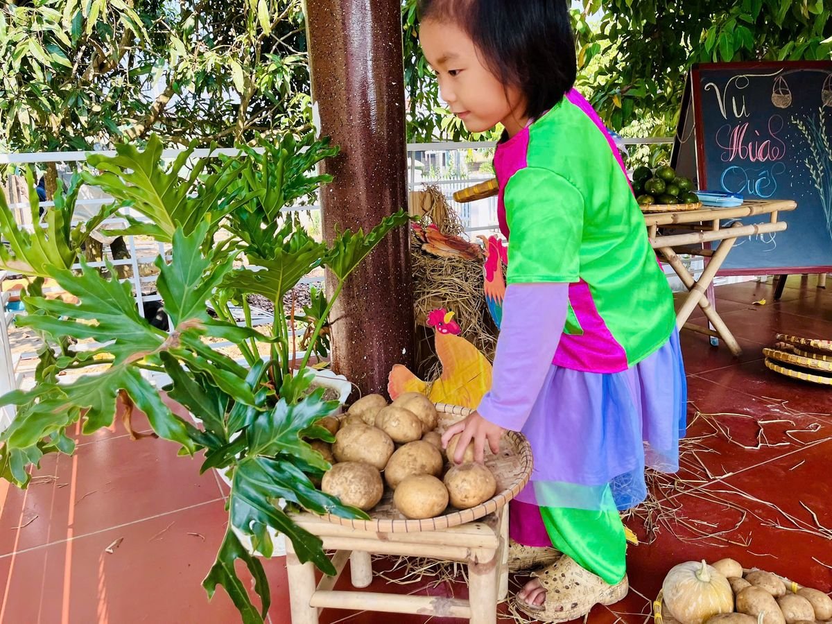 Ảnh hoạt động