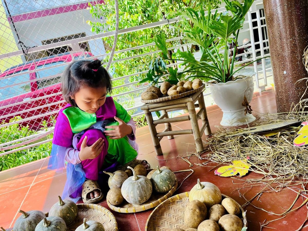 Ảnh hoạt động