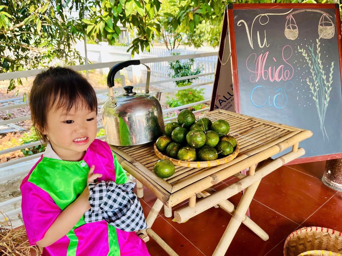 Ảnh hoạt động