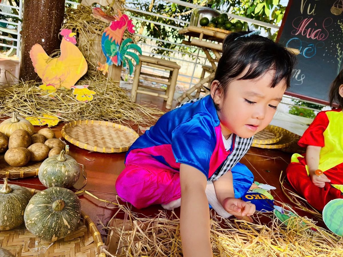 Ảnh hoạt động