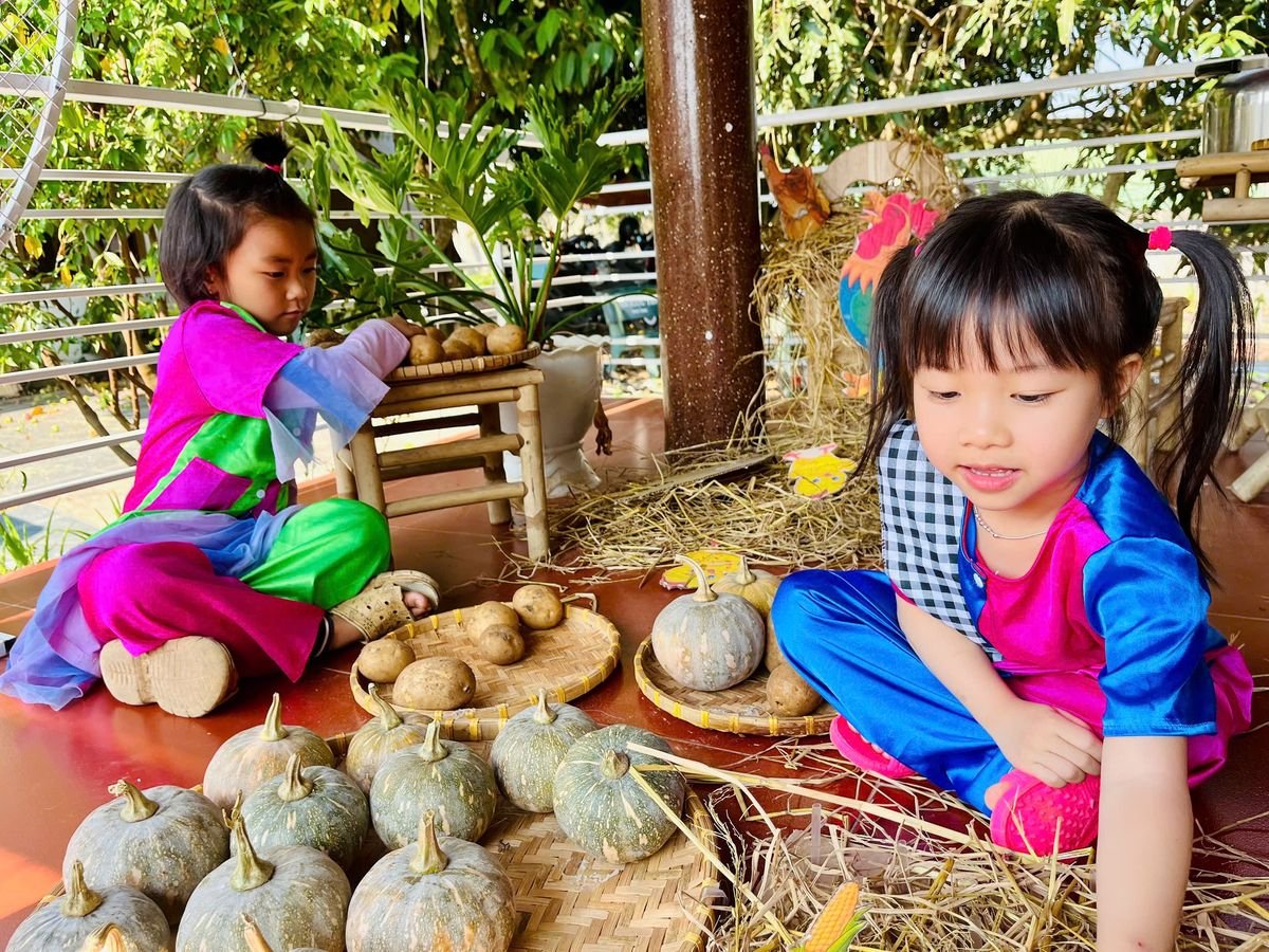 Ảnh hoạt động