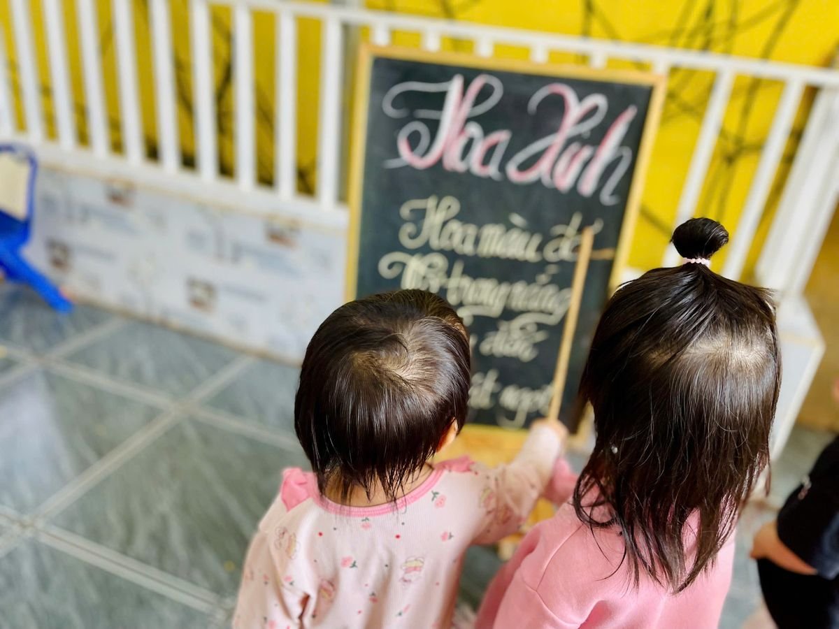 Ảnh hoạt động