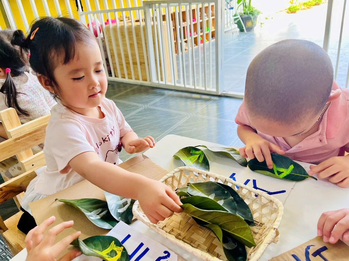 Ảnh hoạt động