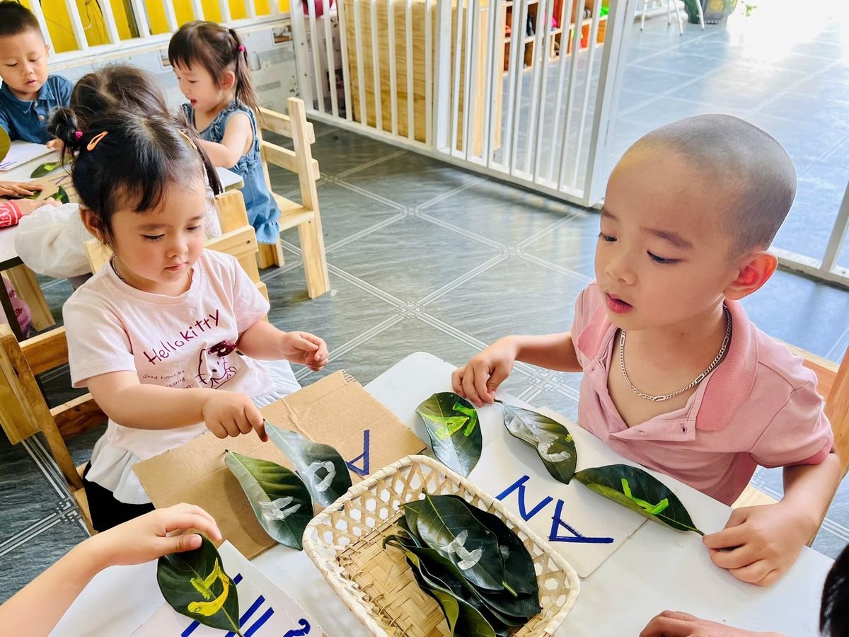 Ảnh hoạt động