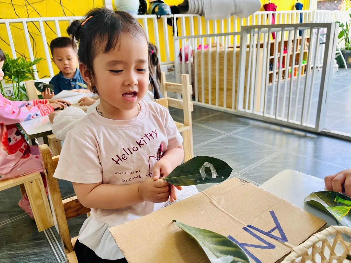 Ảnh hoạt động