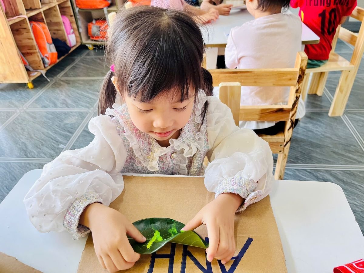 Ảnh hoạt động